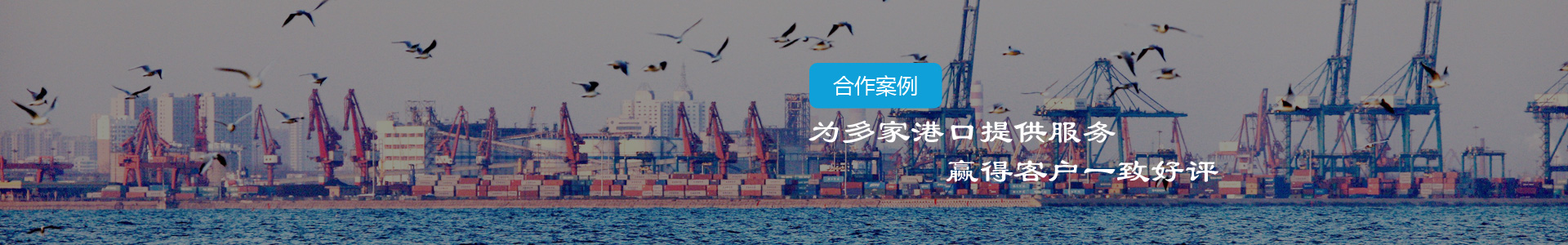 湛江港-江陰市博皓港口機(jī)械設(shè)備有限公司